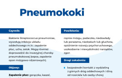 ulotka-pneumokoki-page-0001.jpg