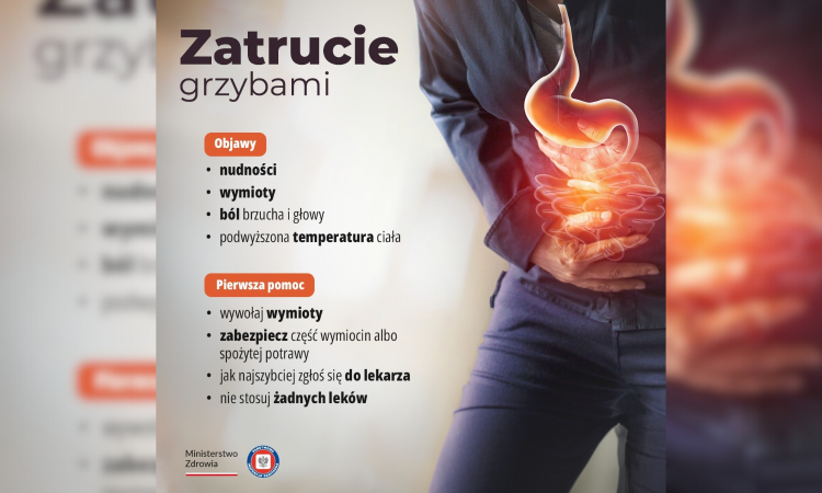 Grzyby – wybieraj bezpiecznie