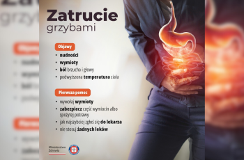 Grzyby – wybieraj bezpiecznie