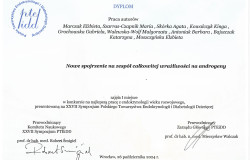 dyplom-emarczak-cais-page-0001.jpg